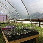 گلخانه گلخانه